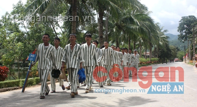 Phạm nhân trên đường lao động, cải tạo trở về