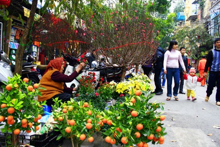 Thời tiết dịp Tết Ất Mùi