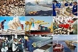 Cải cách để nâng cao năng lực cạnh tranh trong môi trường hội nhập
