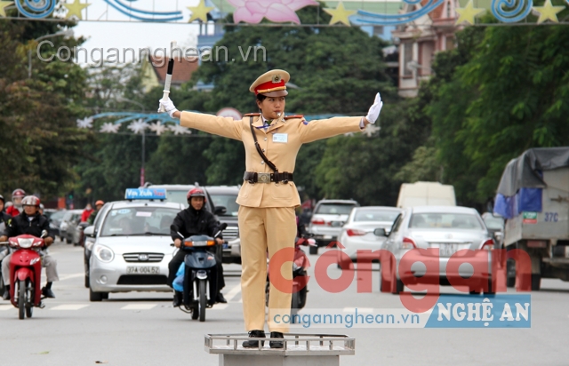 Những 'bông hồng vàng' trên thành phố Đỏ
