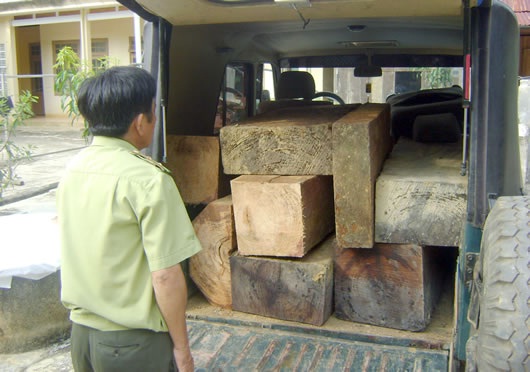 Bắt giữ, xử lý 124 đối tượng vi phạm pháp luật