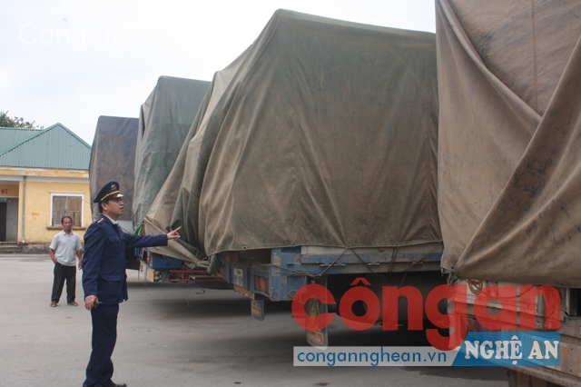 Bắt đoàn xe Lào chở gỗ 'khủng' về Việt Nam