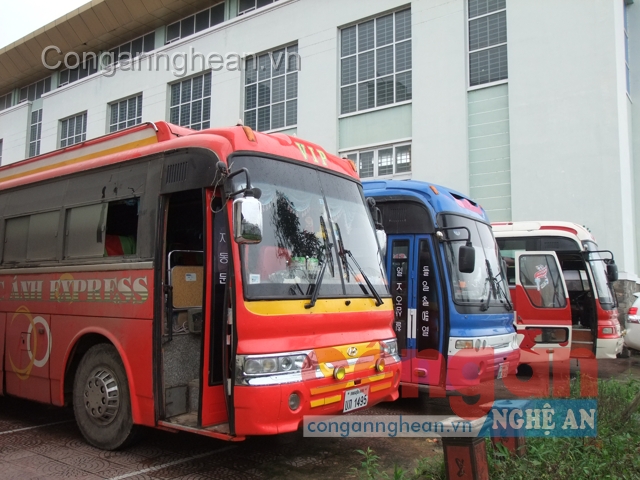 3 xe ôtô vi phạm bị lực lượng chức năng tạm giữ
