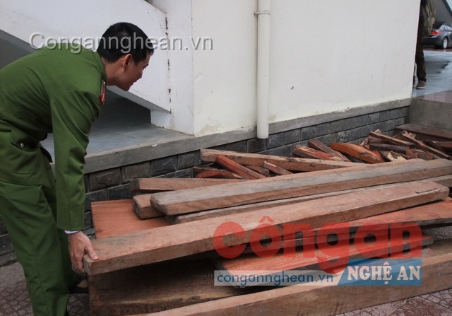 2 ngày bắt 3 vụ vận chuyển gỗ bằng xe ôtô khách