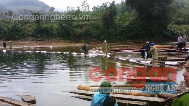 Kỷ luật 9 cán bộ, kiểm lâm để 'lọt' gỗ lậu