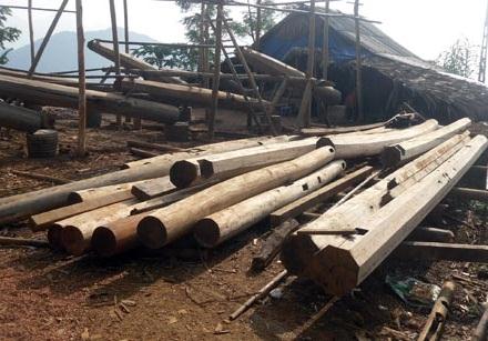 'Chảy máu' nhà sàn, nỗi lo bê tông về bản