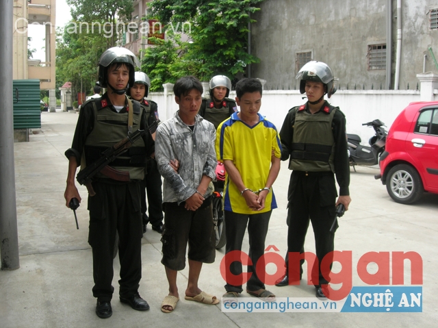 Đoàn Thanh niên Phòng Cảnh sát Bảo vệ và Cơ động                                             bắt và dẫn giải đối tượng vi phạm pháp luật về trụ sở xử lý