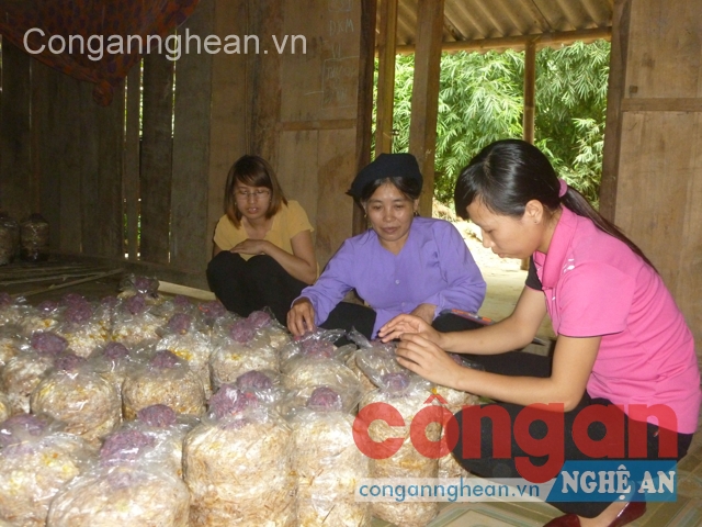 Tạo việc, tạo nghề cho lao động nữ