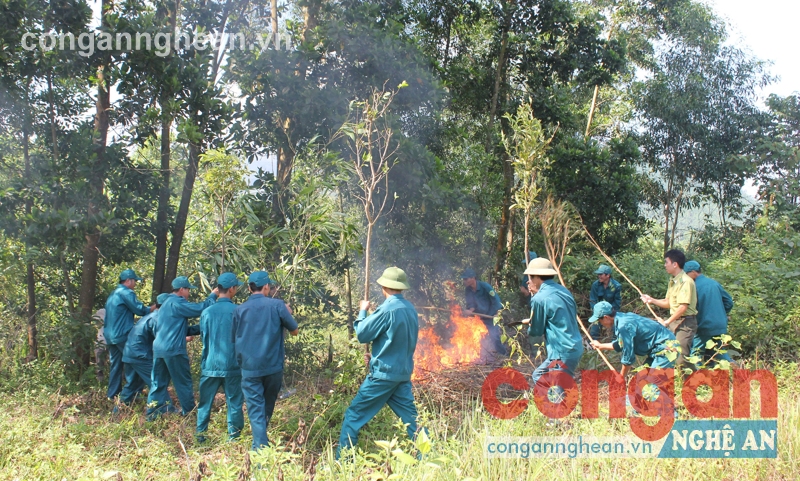 Chủ động phòng chống cháy rừng mùa khô