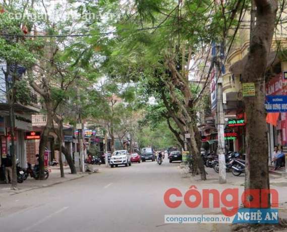 Những việc cần làm ngay để giữ 'lá phổi xanh' của TP Vinh