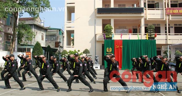 Lực lượng CSCĐ huấn luyện quân sự võ thuật
