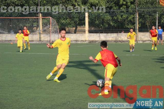 Dàn cầu thủ đồng đều cả về thể chất lẫn kĩ thuật