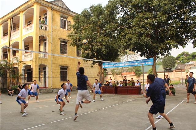 Các đội thi đấu bóng chuyền