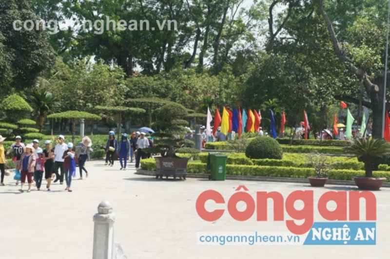 Hoa nắng Kim Liên