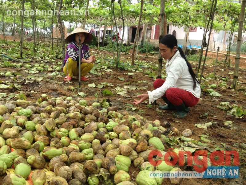 Phải chăng người dân đang 'tự bơi'
