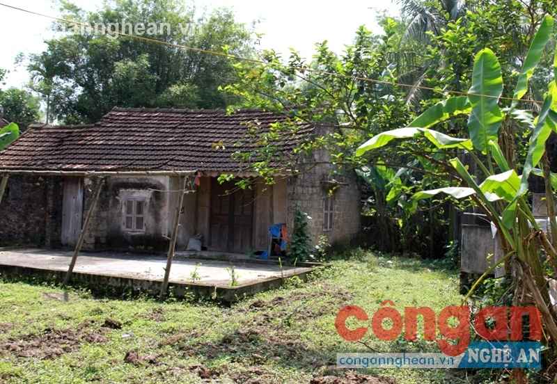 Đất tranh chấp vẫn mang ra bán đấu giá