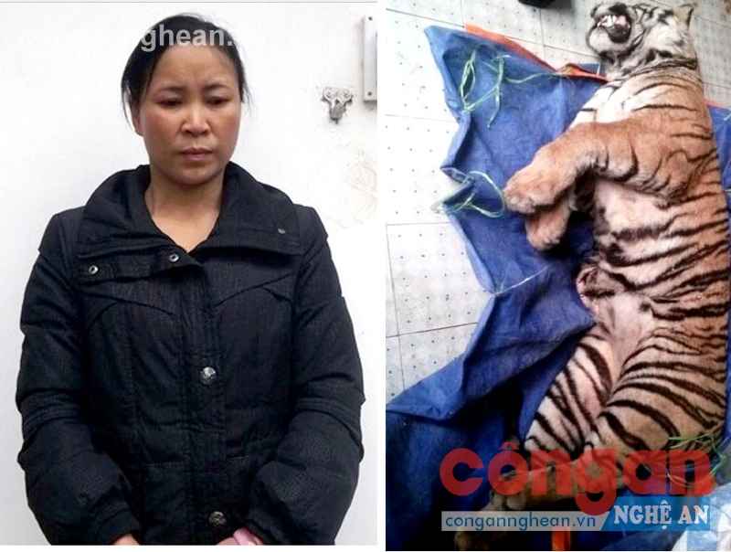 Đấu tranh có hiệu quả với tội phạm mua bán động vật hoang dã quý hiếm