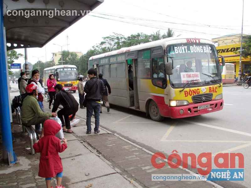 Hoạt động kinh doanh vận tải hành khách bằng xe buýt  vẫn còn nhiều bất cập