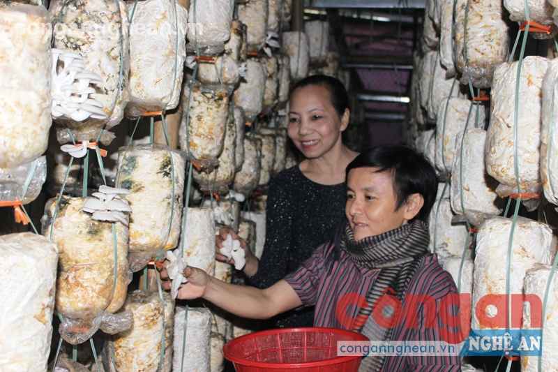 Để người khuyết tật kiếm kế sinh nhai: Gian nan (Kỳ 1)