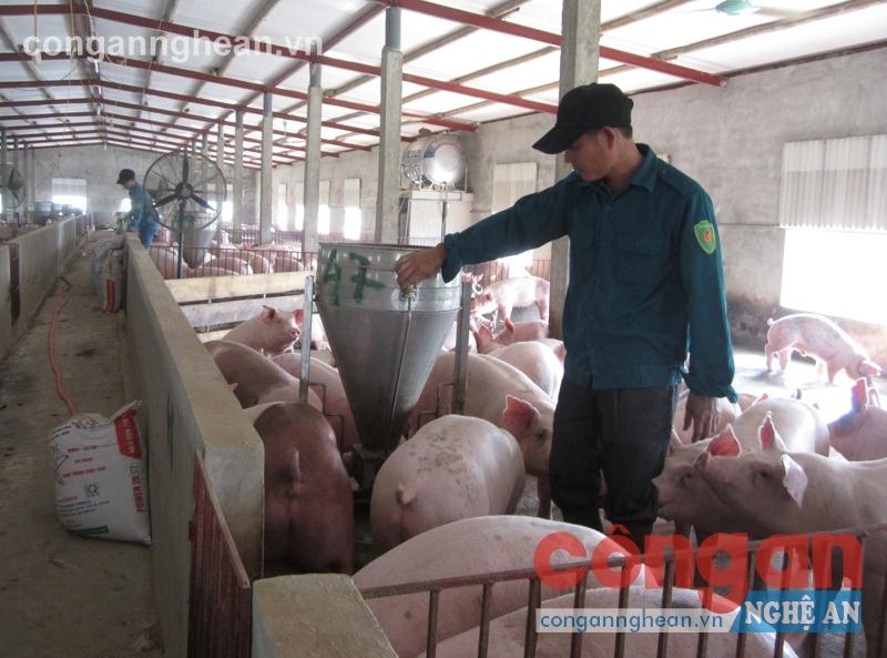 Gỡ khó cho kinh tế trang trại