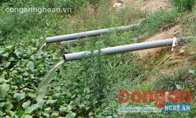 Người dân 'tố' trại lợn gây ô nhiễm