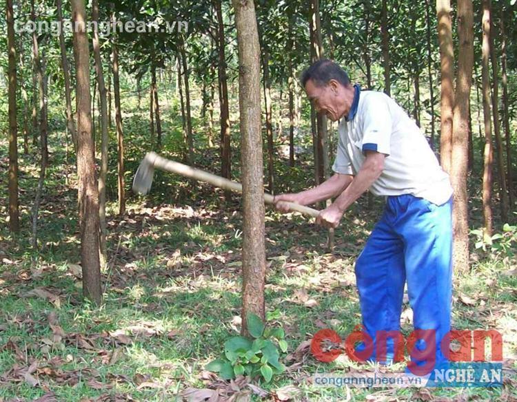 Tạo động lực để người dân thoát nghèo