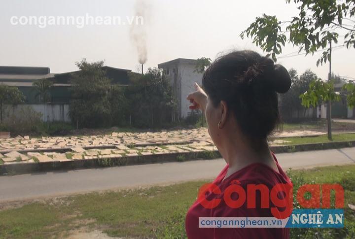Các doanh nghiệp vẫn còn gây ô nhiễm môi trường