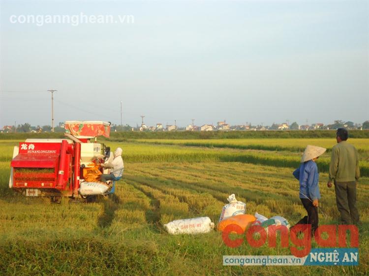 Để Hợp tác xã hoạt động hiệu quả: Còn lắm gian nan