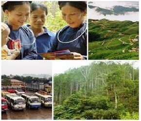 Chính sách mới có hiệu lực từ tháng 6/2015