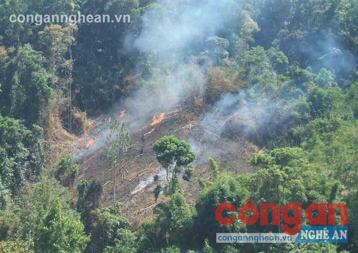 Tập trung nhân lực, vật lực phòng chống cháy rừng
