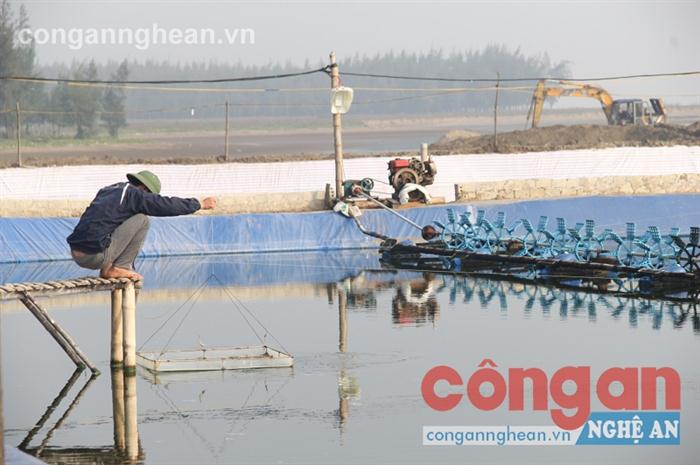 Diện tích nuôi tôm thẻ chân trắng tăng nhanh: Tiềm ẩn nhiều rủi ro