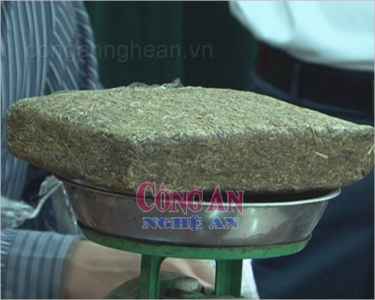 Vứt 7 bánh cần sa để chạy trốn