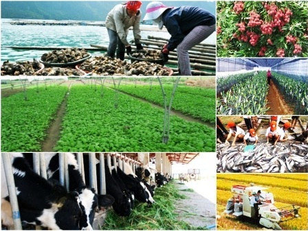 Để người nông dân suy nghĩ trên mảnh đất của mình