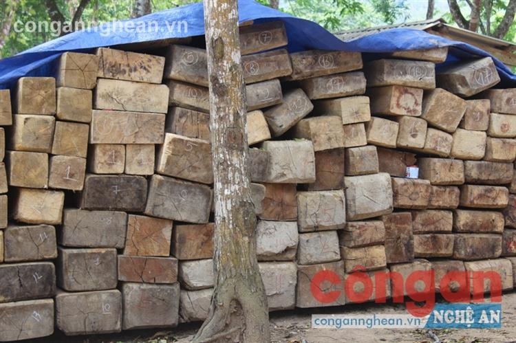 Phòng cháy, quản lý, bảo vệ rừng hiệu quả