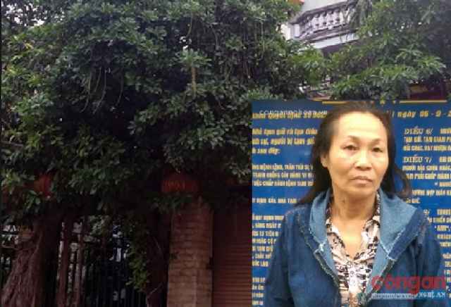 Bà chủ nhà nghỉ chứa chấp mại dâm