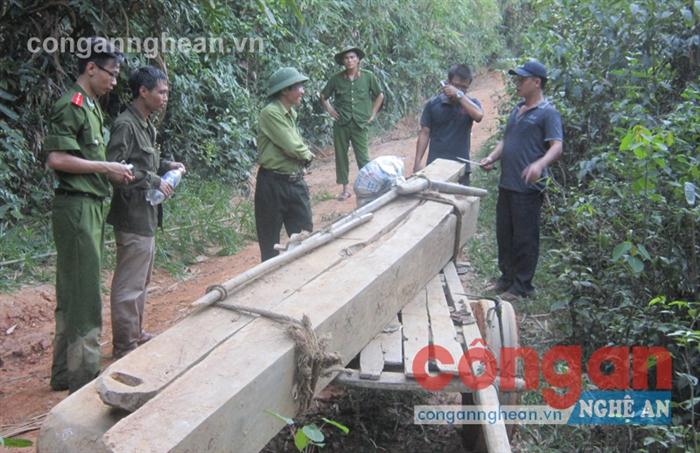 Lần theo dấu vết 'lâm tặc' tàn phá rừng phòng hộ