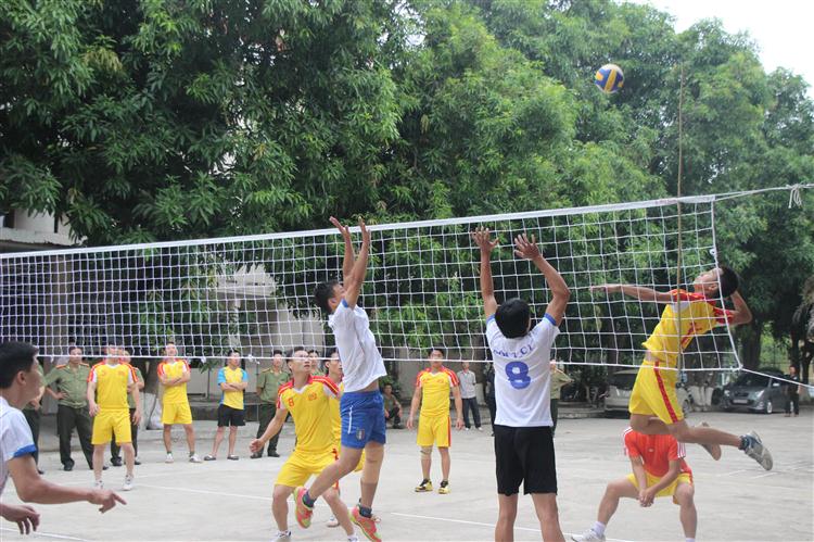Các vận động viên thi đấu môn bóng chuyền