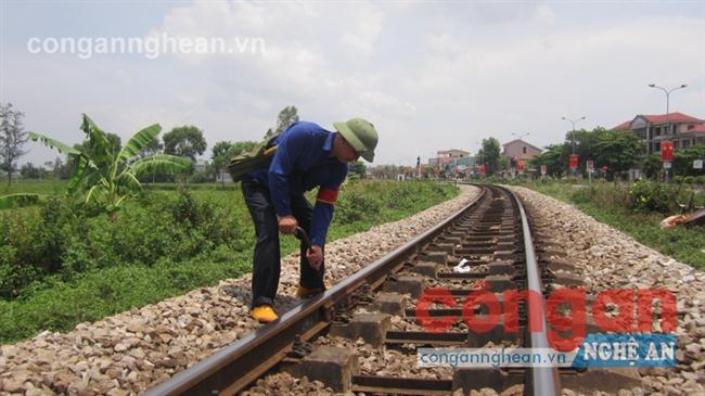 Những bước chân không mỏi