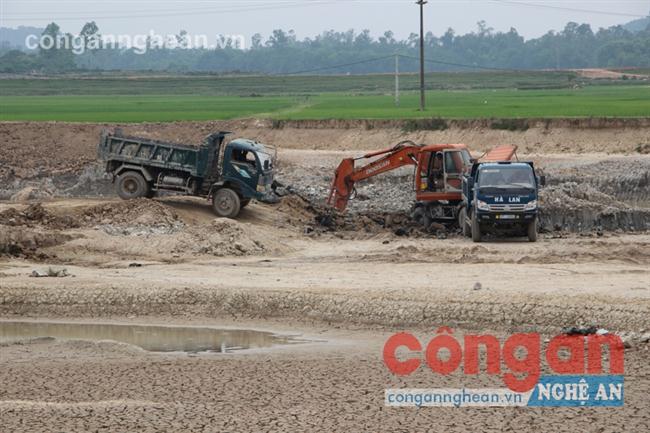 Người sử dụng lãnh hậu quả
