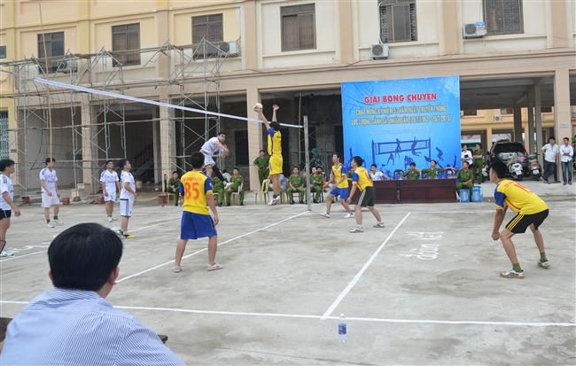 Thi đấu môn bóng chuyền