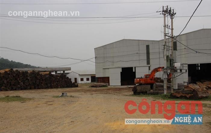 Chợ đầu mối trở thành nơi tập kết và cưa, xẻ gỗ
