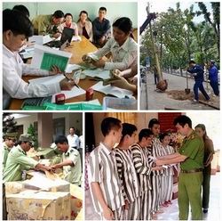 Chỉ đạo, điều hành của Chính phủ, Thủ tướng Chính phủ nổi bật tuần