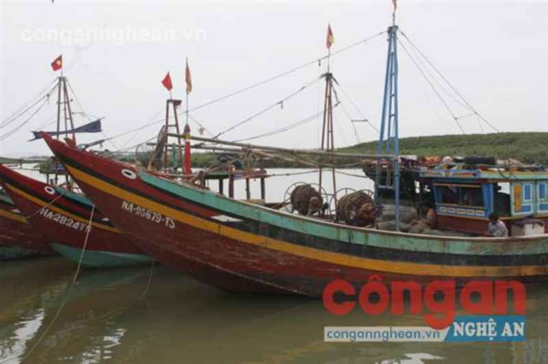 Ngư dân vẫn còn 'bơi' trong lộng