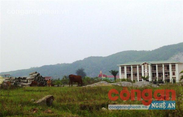 Có dấu hiệu đầu cơ, “găm” đất tại KCN Hoàng Mai dẫn tới KCN bị bỏ hoang