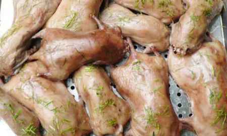 Cảnh giác khi ăn thịt chuột