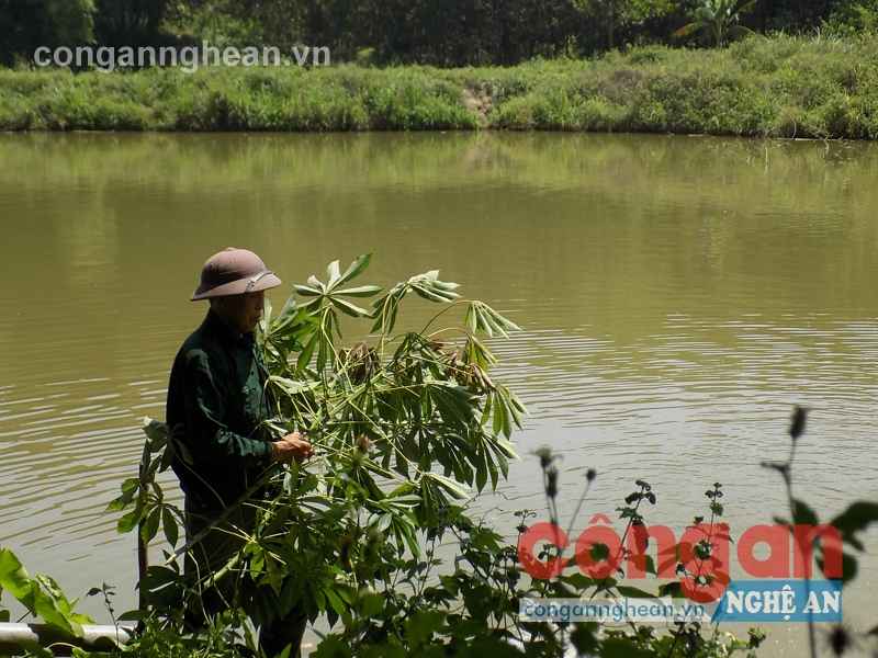 Mở hướng làm giàu trên vùng đất khó