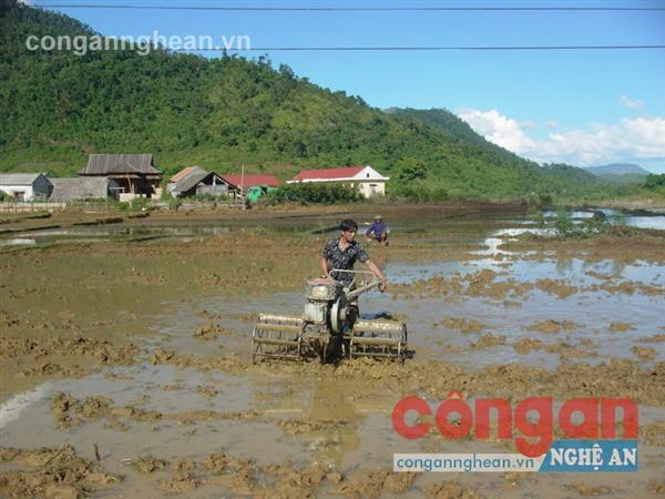 Dồn điền, đổi thửa: Nền tảng vững chắc xây dựng nông thôn mới