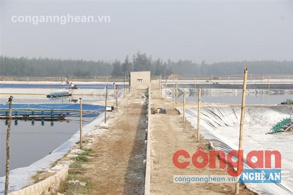 Phát huy tiềm năng nuôi trồng thủy sản trên địa bàn tỉnh