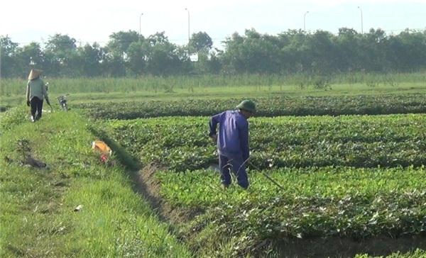 Người dân vùng lũ đối phó với mùa mưa bão sắp đến gần