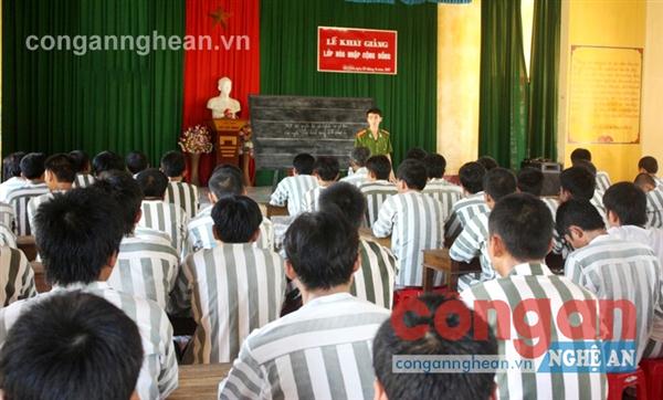 Ngày về không lạc lối